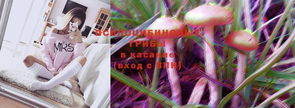 apvp Верхний Тагил