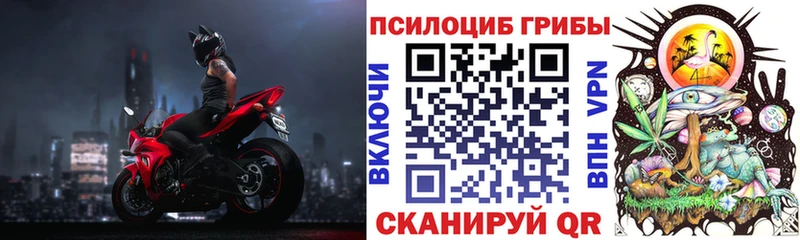 mega ONION  Мончегорск  Галлюциногенные грибы MAGIC MUSHROOMS 