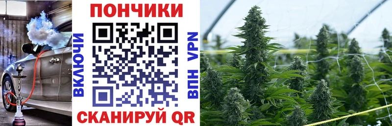 Канабис VHQ Мончегорск